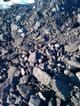 Оптовая продажа угля без пули от производителя прямые продажи