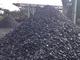 Оптовая продажа угля без пули от производителя прямые продажи